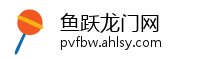 鱼跃龙门网